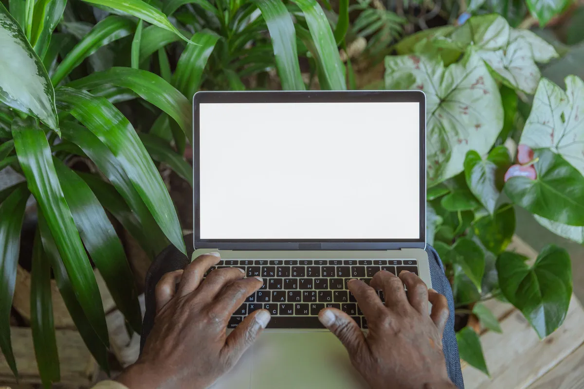 Hände tippen auf einem Laptop mit leerem Bildschirm zwischen Grünpflanzen