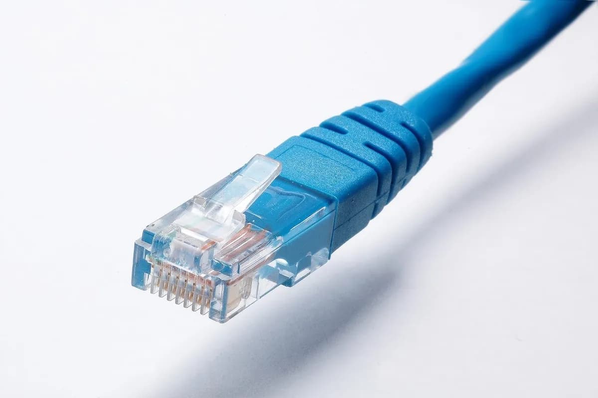 Blaues Netzwerkkabel mit LAN-Stecker vor weißem Hintergrund