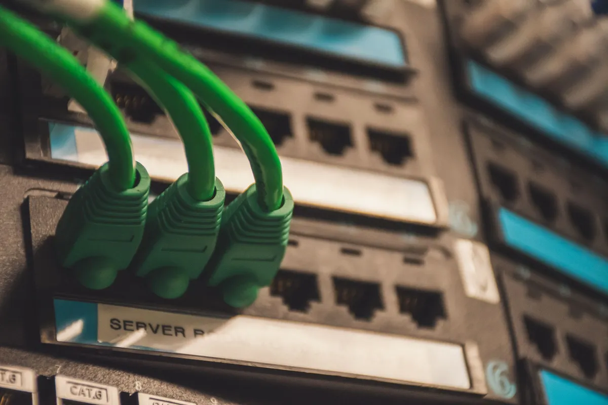 Grüne Netzwerkkabel stecken in den Anschlüssen eines Switches
